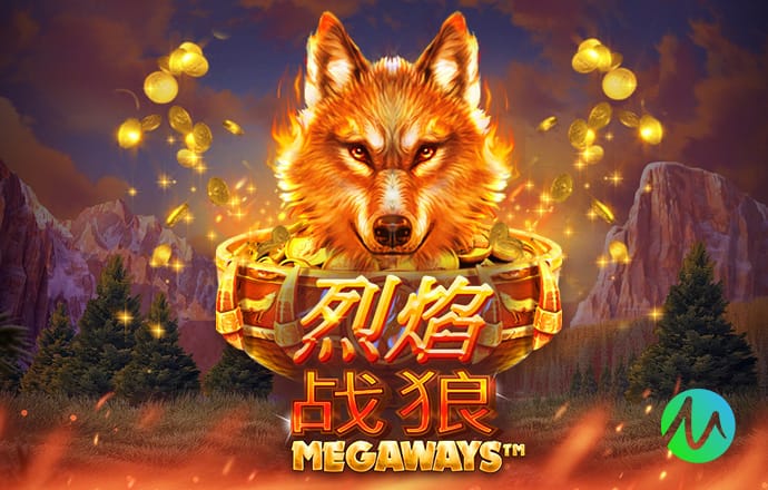 半场：法国女足U16 0